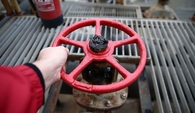 EPDK'dan 7 doğalgaz dağıtım şirketinin satış tarifesi revizesi