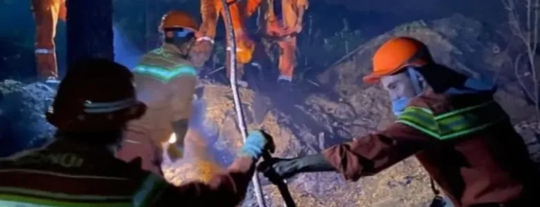 Erenler'de orman yangını