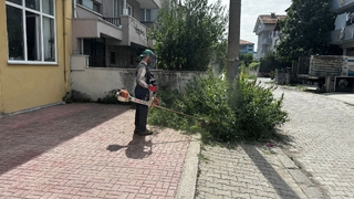 Erenler'de park ve bahçelerde çalışmalar sürüyor