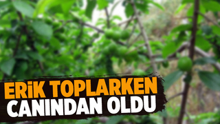 Erik ağacına çıkmaya çalışırken düşerek hayatını kabetti