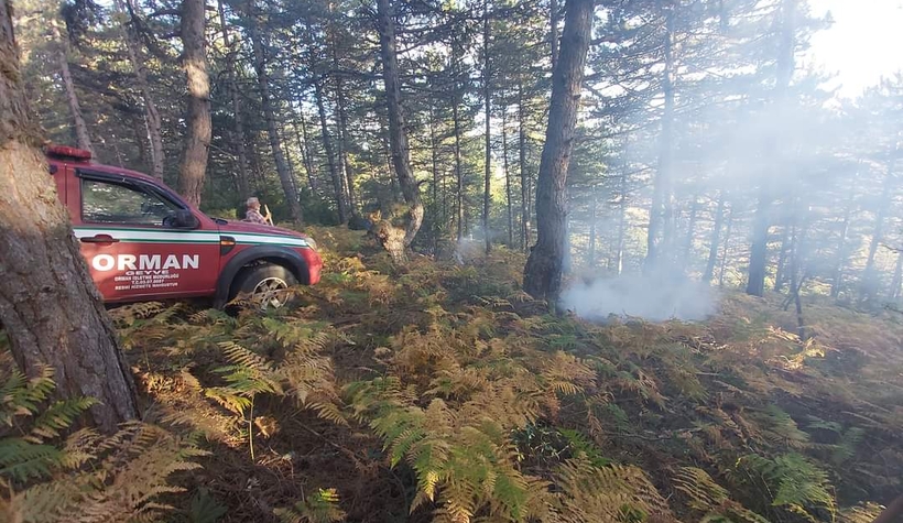 Erken müdahale ormanı yanmaktan kurtardı