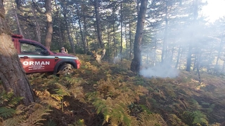 Erken müdahale ormanı yanmaktan kurtardı