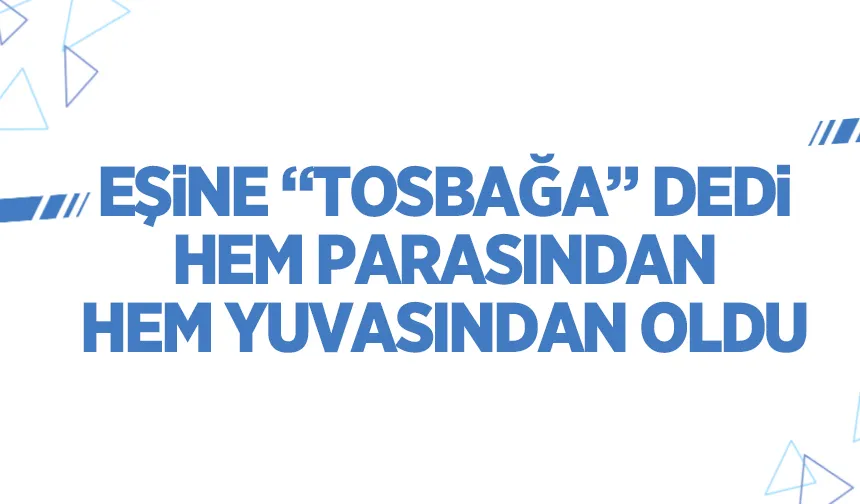 Eşine tosbağa dedi hem paradan hem yuvasından oldu