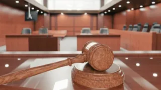 Eşine tosbağa dedi hem paradan hem yuvasından oldu