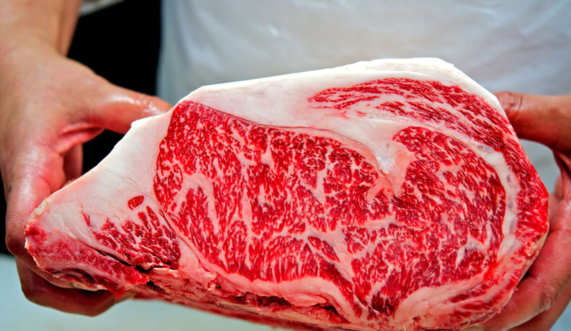 ESK Sakarya Kombinası 56 personel alacak