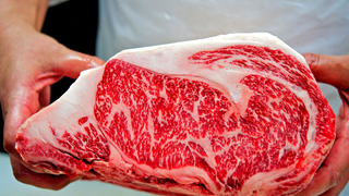 ESK Sakarya Kombinası 56 personel alacak