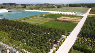 Eski belediye çöplüğünde çiçekler açtı!