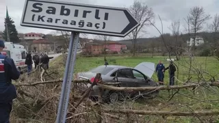 Eski kaynarca yolunda otomobil tarlaya uçtu