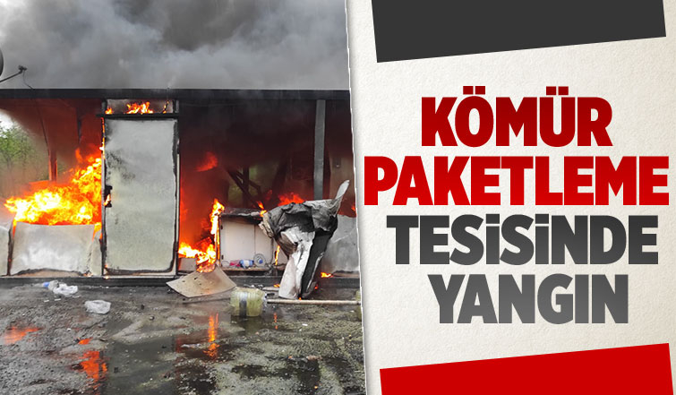 Eski tavuk çiftliğinde yangın paniği