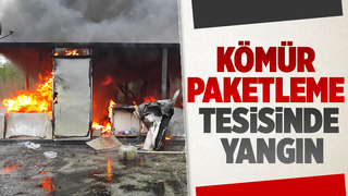 Eski tavuk çiftliğinde yangın paniği