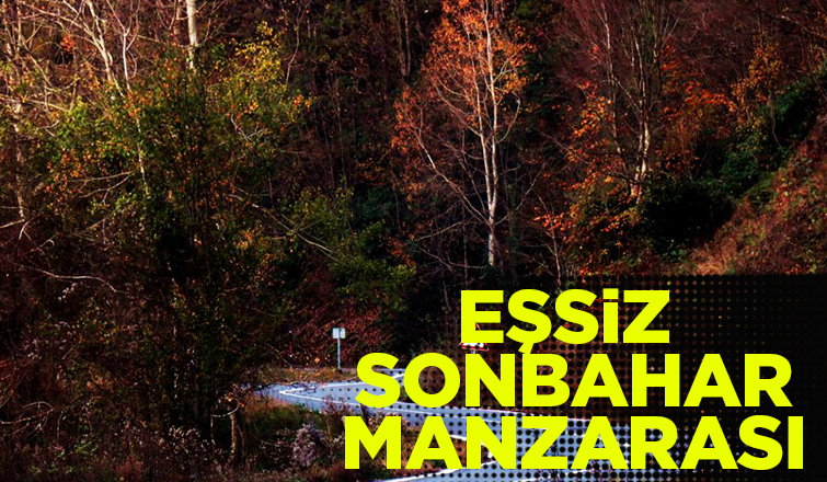 Eşsiz sonbahar manzarası