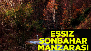 Eşsiz sonbahar manzarası