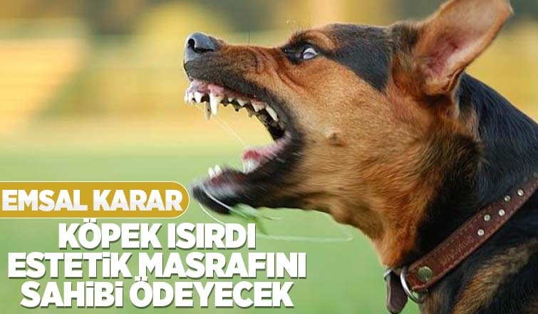  Estetik masraflarını köpeğin sahibi öder