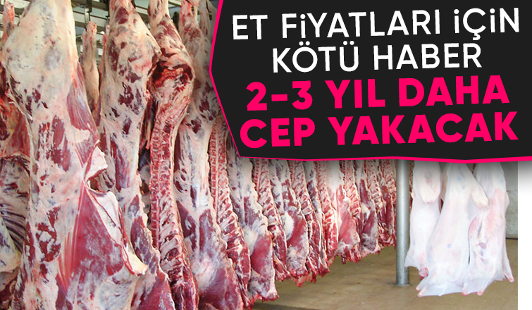 Et fiyatları enflasyon oranında artmaya devam edecek