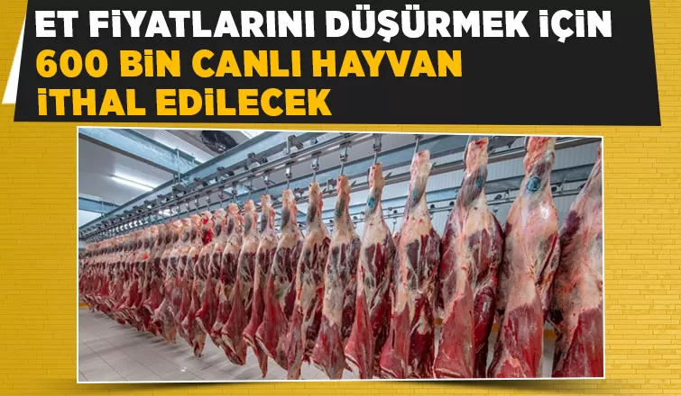 Et fiyatlarındaki artışa ithal et freni