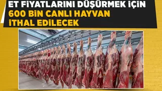 Et fiyatlarındaki artışa ithal et freni