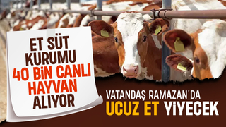 Et ve Süt Kurumu Ramazan için 40 bin canlı hayvan alacak