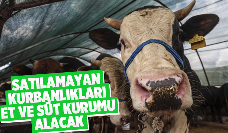 Et ve Süt Kurumu satılamayan kurbanlıkları alacak