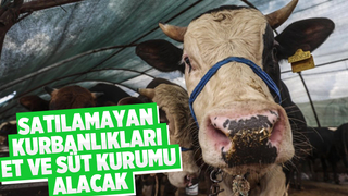 Et ve Süt Kurumu satılamayan kurbanlıkları alacak