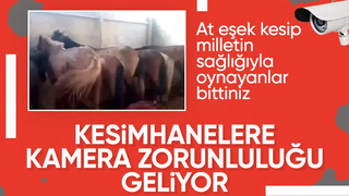 Et ve yumurtaya yeni standart geliyor