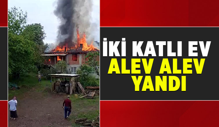 Ev alevlere teslim oldu