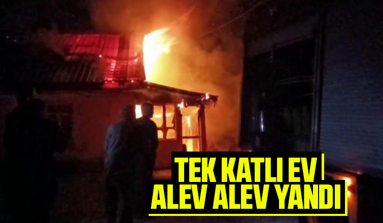 Ev alevlere teslim oldu