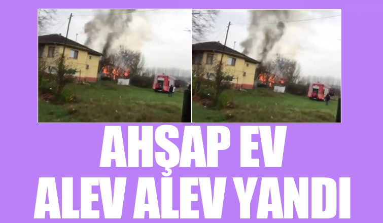 Ev alevlere teslim oldu