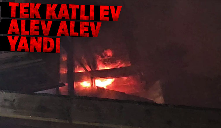 Ev alevlere teslim oldu