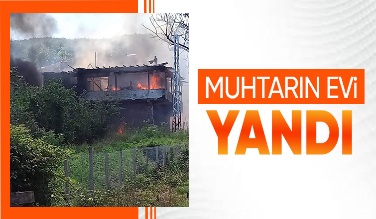 Ev alevlere teslim oldu