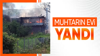 Ev alevlere teslim oldu