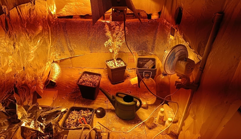 Ev değil sanki uyuşturucu imalathanesi