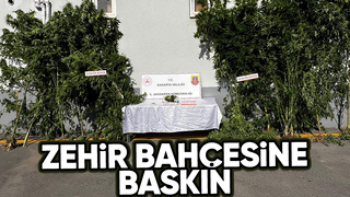 Ev değil zehir bahçesi suçüstü yakalandılar