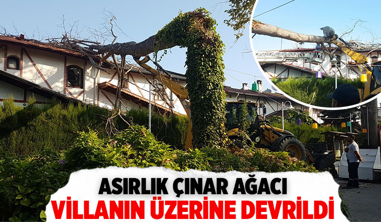 Ev sahibi deprem oluyor sandı