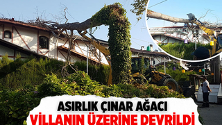 Ev sahibi deprem oluyor sandı