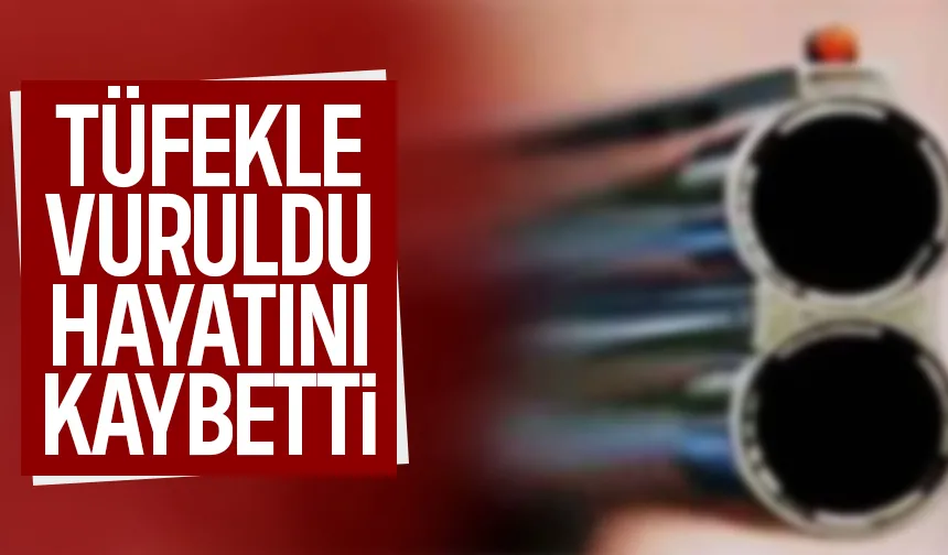 Evde sır dolu ölüm; Tüfekle vuruldu