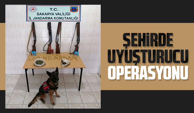 Evde uyuşturucu ve silahlarla yakalandı