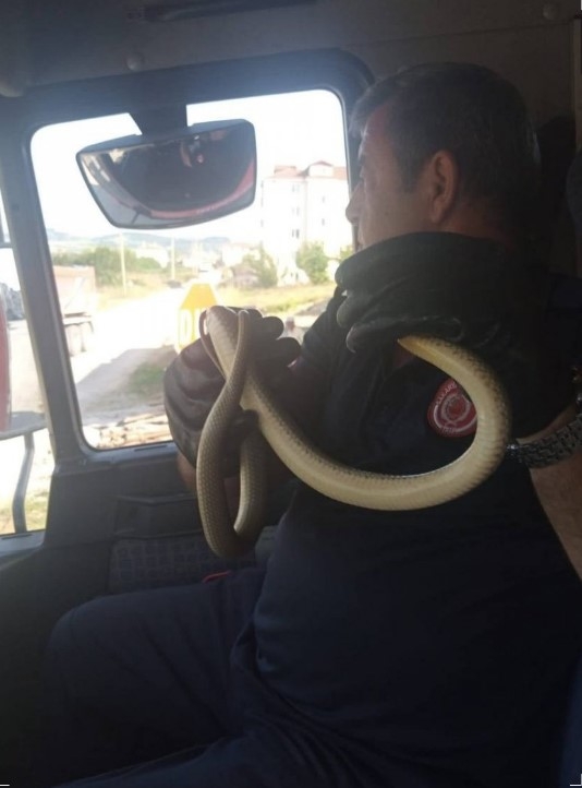Eve giren yılanı eliyle çıkaran itfaiye