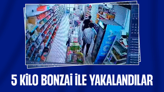 Eve yapılan basında 5 kilo bonzai ele geçirildi