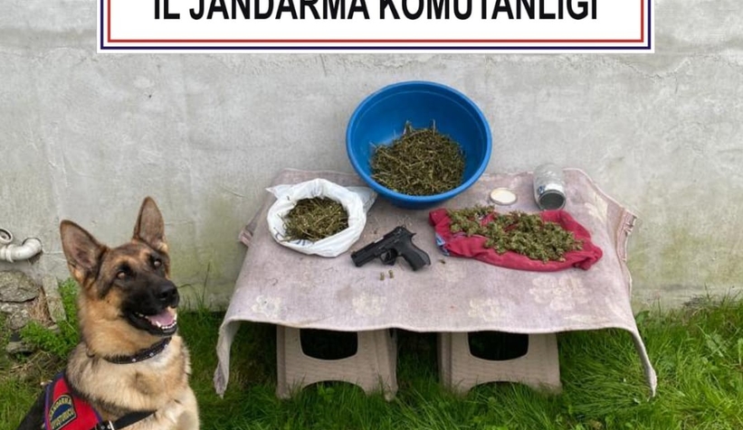 Eve yapılan baskında 1,5 kilo esrar ele geçirildi