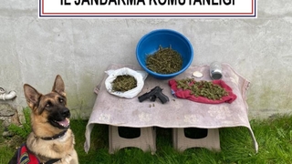 Eve yapılan baskında 1,5 kilo esrar ele geçirildi