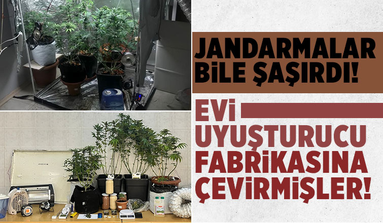 Evi esrar bahçesine çevirmiş