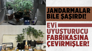 Evi esrar bahçesine çevirmiş