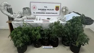 Evi uyuşturucu serasına çevirmiş