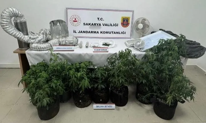 Evi uyuşturucu serasına çevirmiş