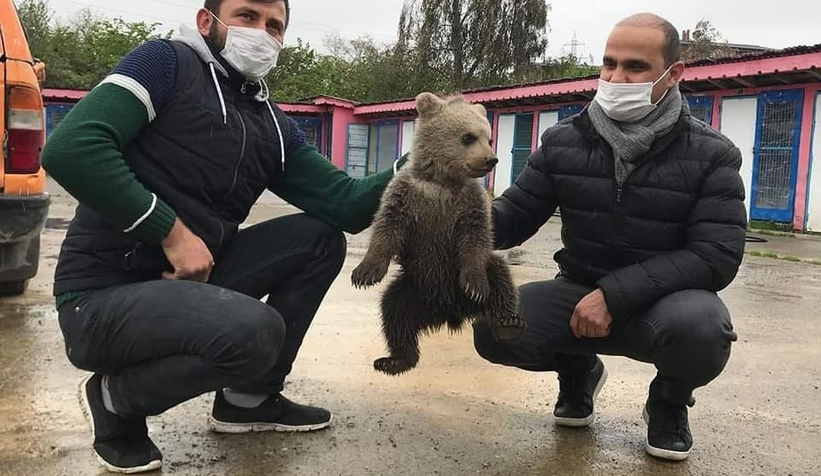 Evin bodrumunda bulundu