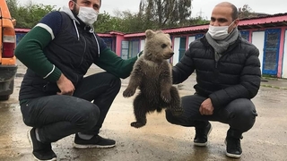 Evin bodrumunda bulundu