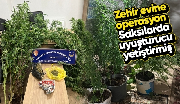 Evinde uyuşturucu yetiştiren zehir taciri yakalandı