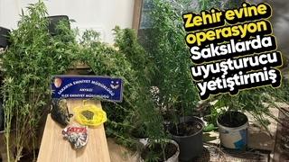 Evinde uyuşturucu yetiştiren zehir taciri yakalandı