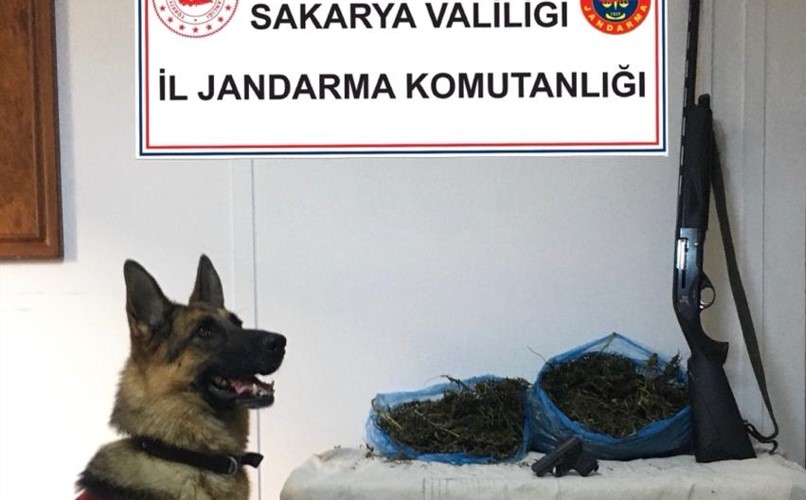 Evinden 2 kilo esrar çıktı