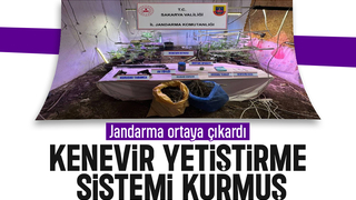 Evine iklimlendirme sistemi kurup kenevir yetiştirmiş
